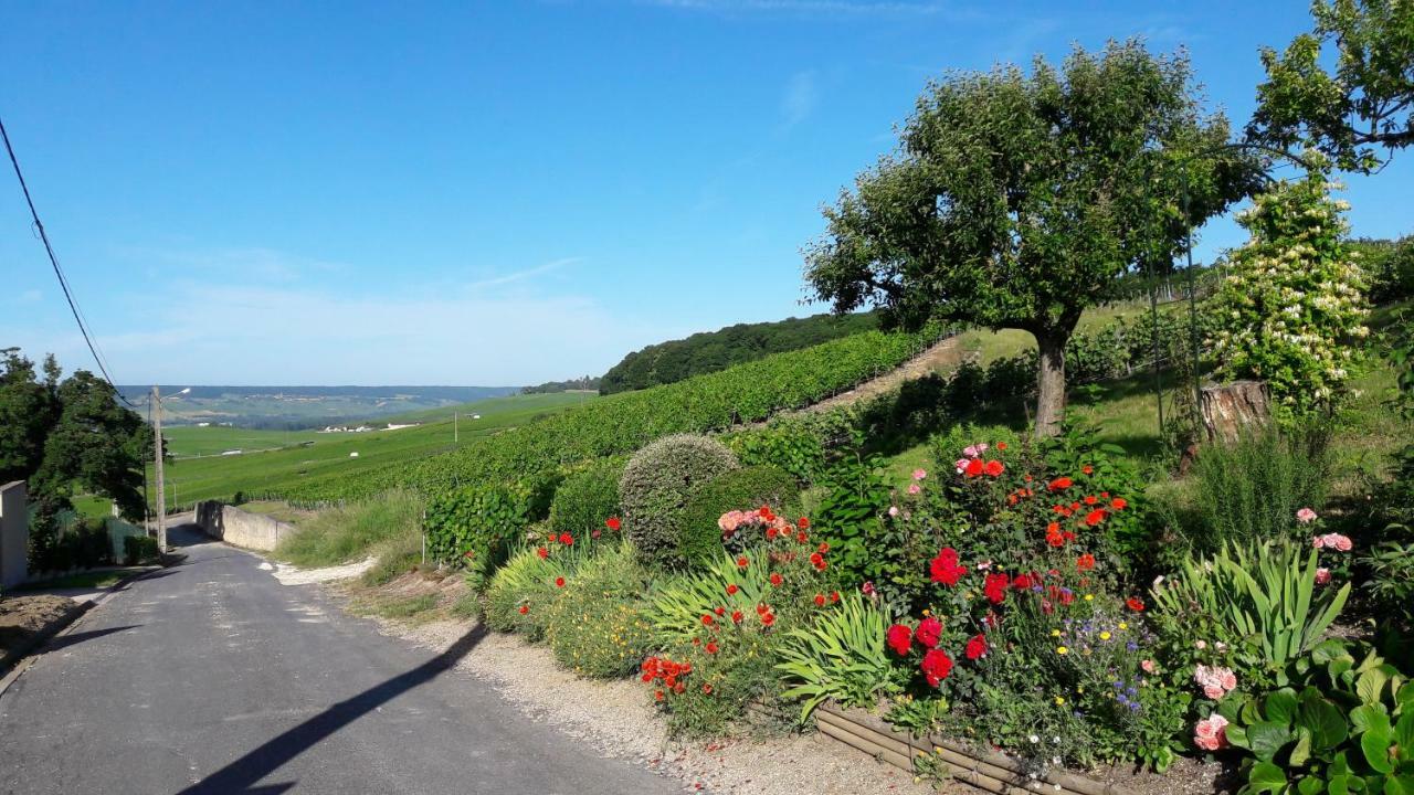 Le Logis Du Vendangeur Villa Champillon ภายนอก รูปภาพ
