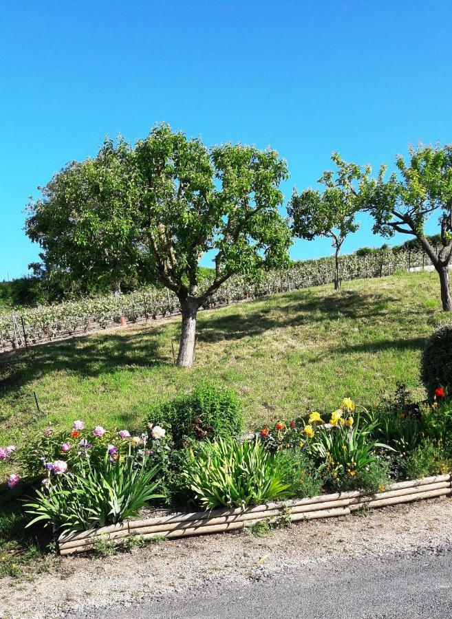 Le Logis Du Vendangeur Villa Champillon ภายนอก รูปภาพ