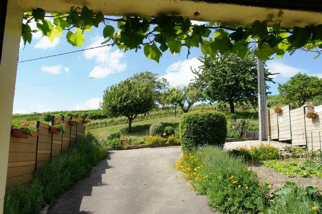 Le Logis Du Vendangeur Villa Champillon ภายนอก รูปภาพ